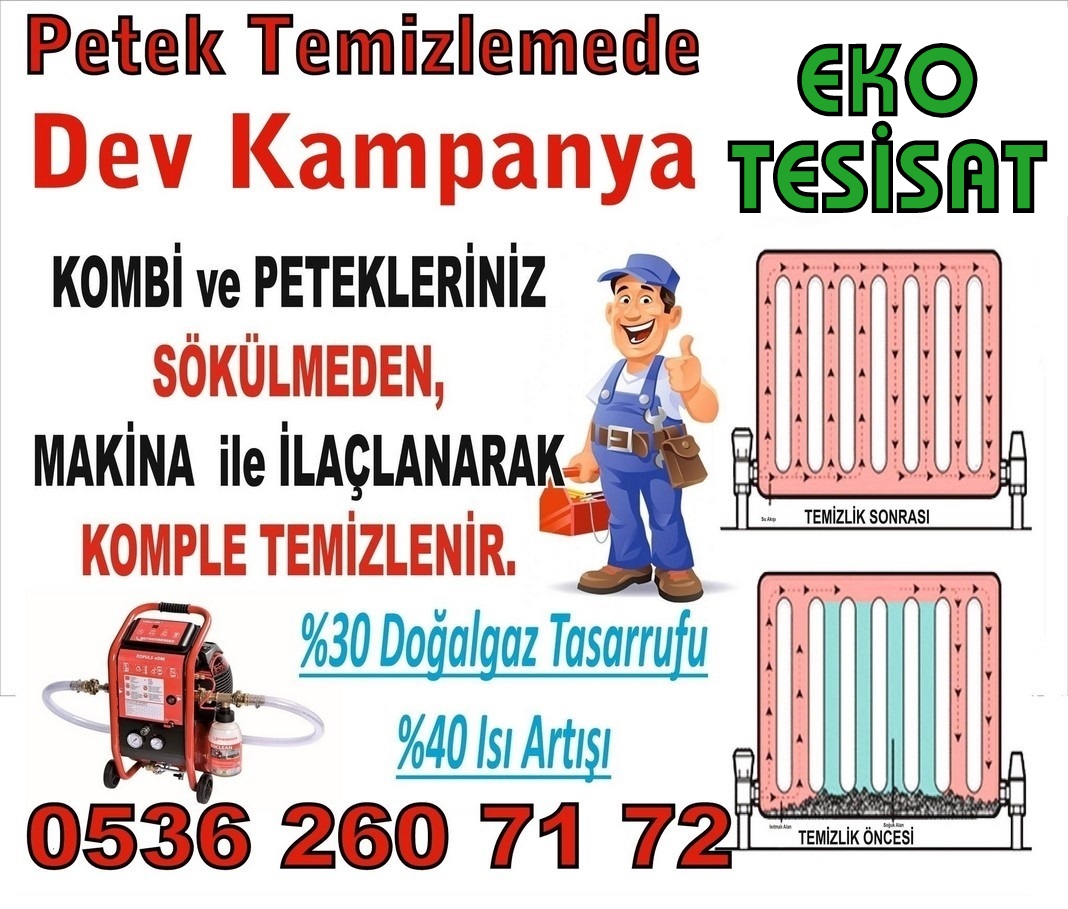 izmir petek temizleme izmir petek temizliği