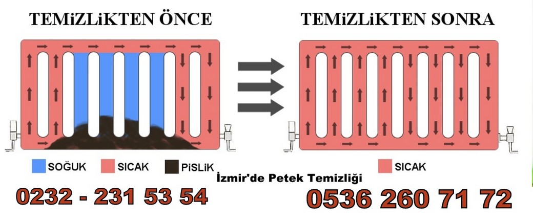 İzmir Petek Temizleme
